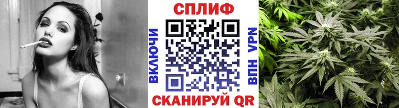 Каннабис OG Kush Ангарск